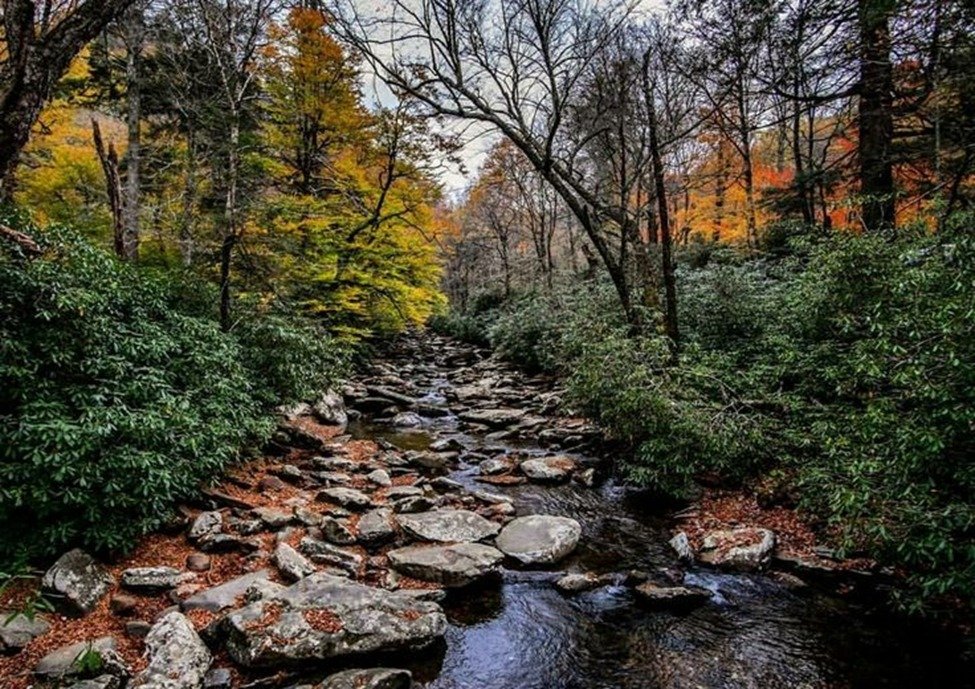 4. Alum Cave Trail at Great Smoky Mountains National Park, Tennessee and North Carolina